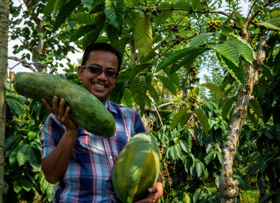 Watch the Climate Smart Agriculture Learning Series – Global Coffee ...