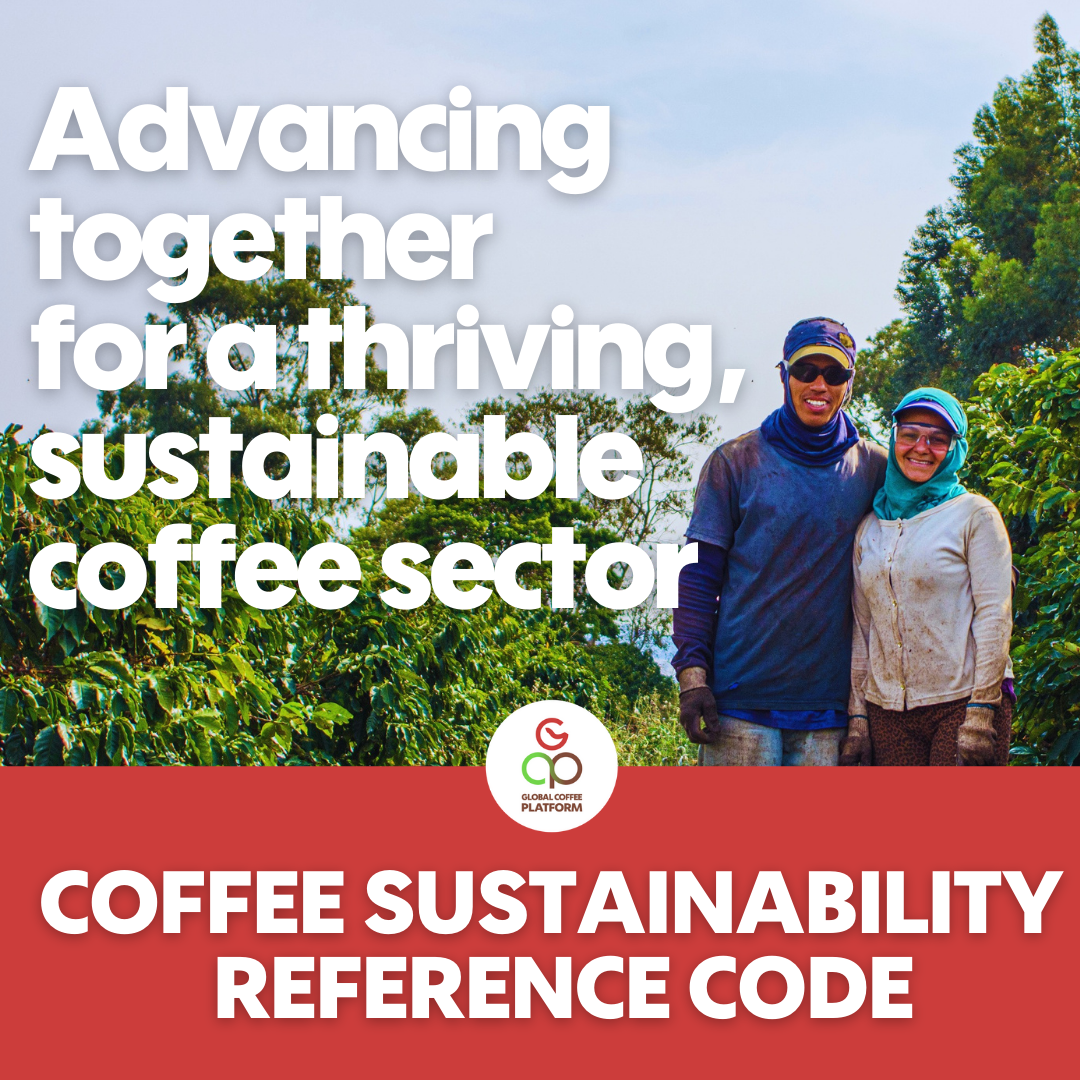 How GCP Members are embracing the Coffee Sustainability Reference Code